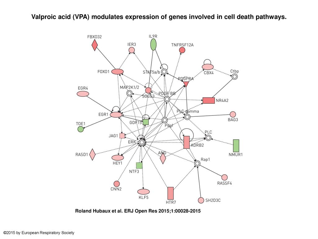 Valproic Acid Vpa Modulates Expression Of Genes Involved In Cell